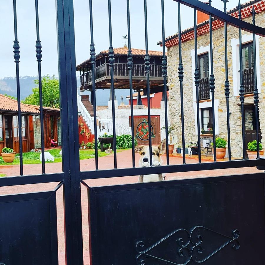 El Perlindango (Adults Only) Pensionat Villademar Exteriör bild